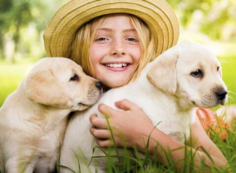 Dog Vaccines • VaccinateYourPets.com