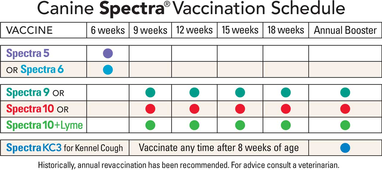 Canine Spectra Vaccination Schedule